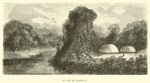 River at Pachiri  作： Edouard Riou